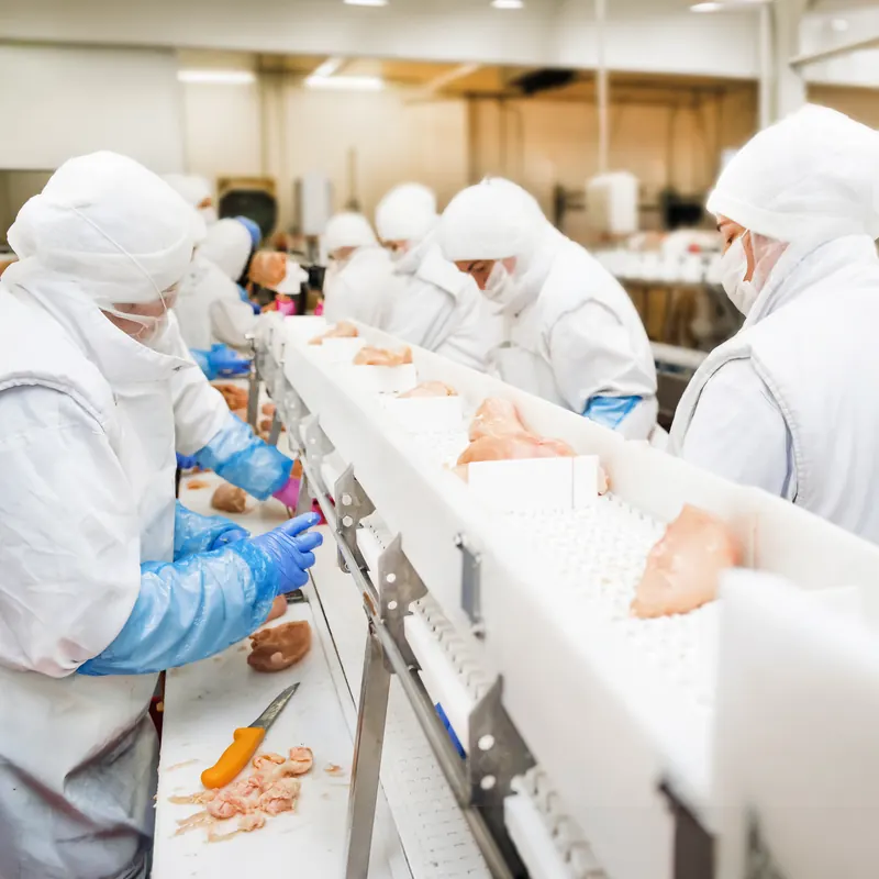 Linha de produção da fábrica de Sangalhos